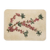 Vintages botanisches Mezereon Magnet (Horizontal)