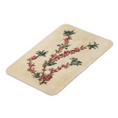 Vintages botanisches Mezereon Magnet (Linke Seite)