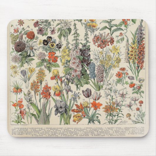 Vintages botanisches Muster Mousepad (Vorne)
