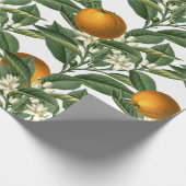 Vintages botanisches Orange Fruchtblossom Muster Geschenkpapier (Ecke)