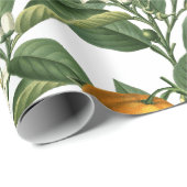 Vintages botanisches Orange Fruchtblossom Muster Geschenkpapier (Rolleneckpunkt)