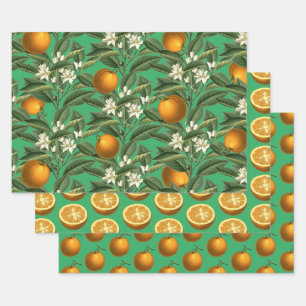 Vintages botanisches Orange Fruchtblossom Muster Geschenkpapier Set