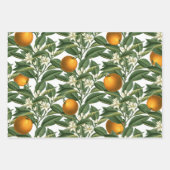 Vintages botanisches Orange Fruchtblossom Muster Geschenkpapier Set (Vorderseite 2)