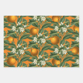 Vintages botanisches Orange Fruchtblossom Muster Geschenkpapier Set (Vorderseite 2)