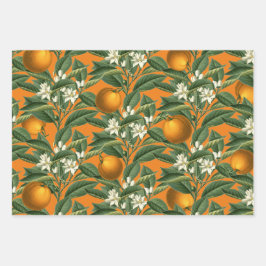 Vintages botanisches Orange Fruchtblossom Muster Geschenkpapier Set