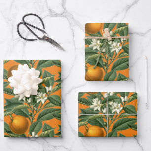 Vintages botanisches Orange Fruchtblossom Muster Geschenkpapier Set