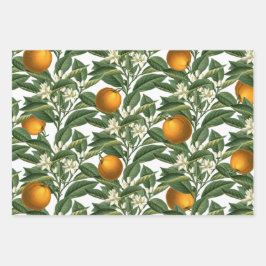 Vintages botanisches Orange Fruchtblossom Muster Geschenkpapier Set