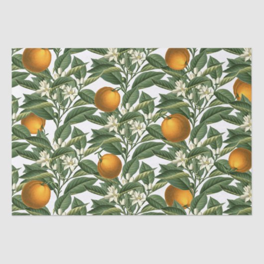 Vintages botanisches Orange Fruchtblossom Muster Seidenpapier (Vorderseite)