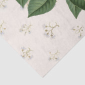 Vintages botanisches Orangenfruchtblossom Beige Seidenpapier (Detail)