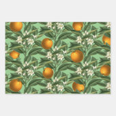Vintages botanisches Orangenfruchtblossom Geschenkpapier Set (Vorderseite 3)