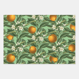 Vintages botanisches Orangenfruchtblossom Geschenkpapier Set