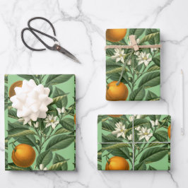 Vintages botanisches Orangenfruchtblossom Geschenkpapier Set