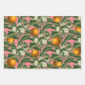Vintages botanisches Orangenfruchtblossom Rosa Geschenkpapier Set (Vorderseite 3)