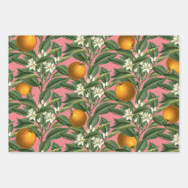 Vintages botanisches Orangenfruchtblossom Rosa Geschenkpapier Set