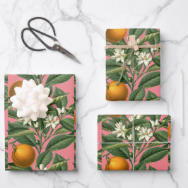 Vintages botanisches Orangenfruchtblossom Rosa Geschenkpapier Set