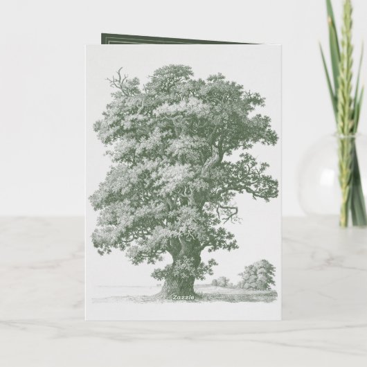 Vintages botanisches Party Hochzeitstag Programm (Rückseite)