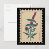 Vintages botanisches Peppermint Postkarte (Vorne/Hinten)