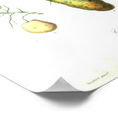 Vintages botanisches Plakat - Wurzelgemüse (Ecke)