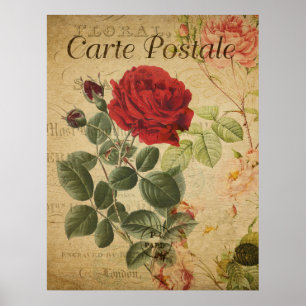 Vintages botanisches Poster - Französische Postkar