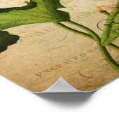 Vintages botanisches Poster - Französischer Lotus (Ecke)