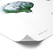 Vintages botanisches Poster - Kauliblume (Ecke)