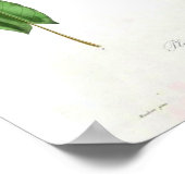 Vintages botanisches Poster - Leek (Ecke)