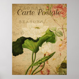 Vintages botanisches Poster - Lotus-Blume