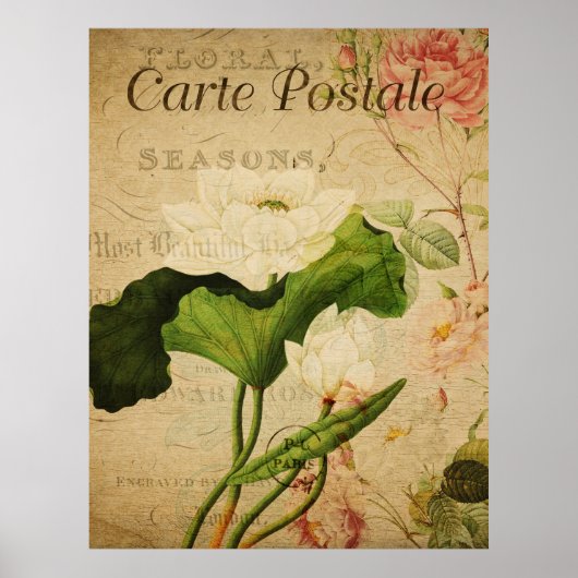 Vintages botanisches Poster - Lotus-Blume (Vorne)