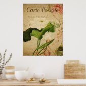 Vintages botanisches Poster - Lotus-Blume (Küche)