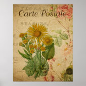 Vintages Botanisches Poster - Marigold (Vorne)