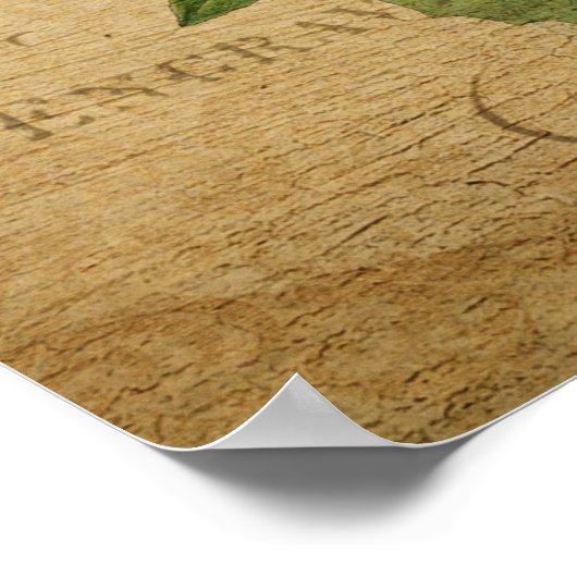 Vintages Botanisches Poster - Marigold (Ecke)