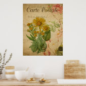 Vintages Botanisches Poster - Marigold (Küche)