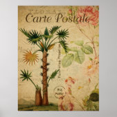 Vintages botanisches Poster - Palme Tree (Vorne)