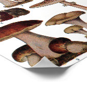 Vintages botanisches Poster - Pilzfamilie (Ecke)