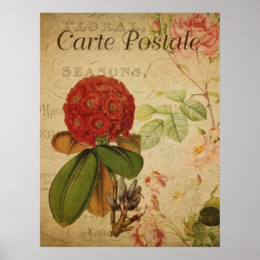 Vintages botanisches Poster - Rhododenron (Vorne)