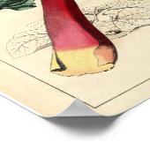 Vintages botanisches Poster - Rhubarb (Ecke)