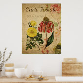 Vintages botanisches Poster - Rudbeckia (Küche)