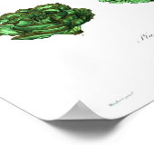 Vintages botanisches Poster - Salat (Ecke)