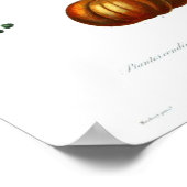 Vintages botanisches Poster - Squash (Ecke)