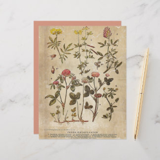 Vintages botanisches Scrapbook