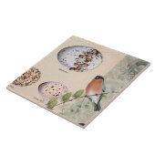 Vintages Botanisches Vogelwüstengewächshaus - Kakt Fliese (Seite)