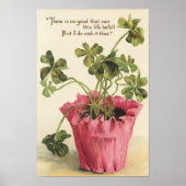 Vintages Botanisches Wall-Poster von 1905 Poster (Vorne)