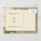 Vintages Botanisches Weißes Peony Save the Date Ankündigungspostkarte (Rückseite)