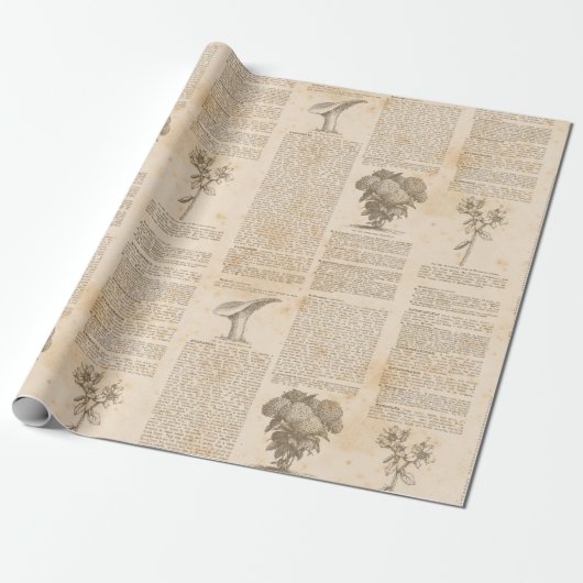Vintages botanisches Zeitungspapier Geschenkpapier (Ungerollt)