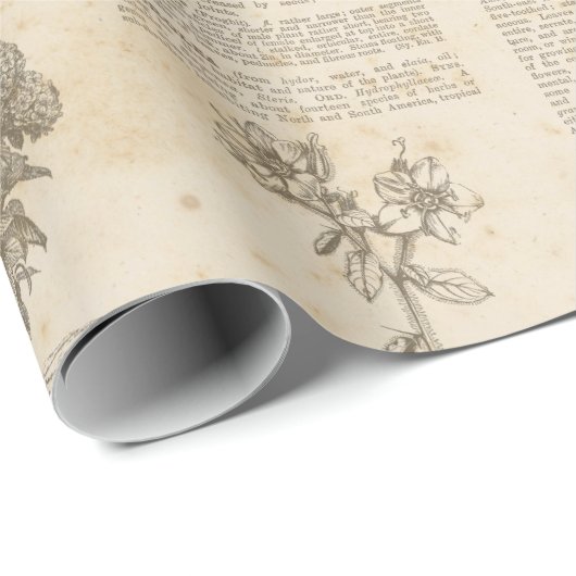 Vintages botanisches Zeitungspapier Geschenkpapier (Rolleneckpunkt)