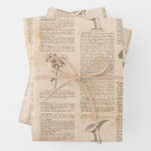 Vintages botanisches Zeitungspapier Geschenkpapier Set (Beispiel)