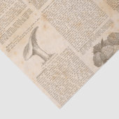 Vintages botanisches Zeitungspapier Seidenpapier (Detail)