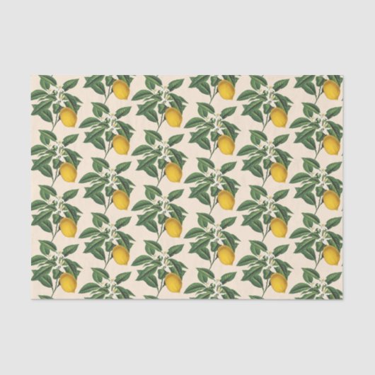 Vintages Botanisches Zitronenfrucht Blossom Beige Seidenpapier (Vorderseite)