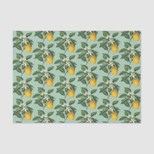 Vintages botanisches Zitronenfrucht Blossom Seite  Seidenpapier (Vorderseite)