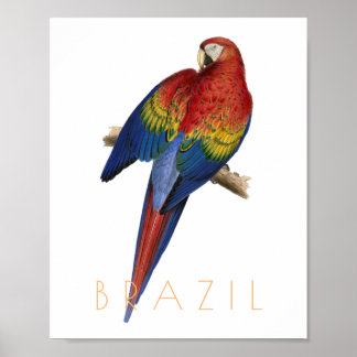 Vintages Brasilien - Reise nach Macaw Poster